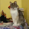 Отзыв от Римма Литвинова
